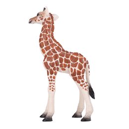 Mojo Žirafa mládě