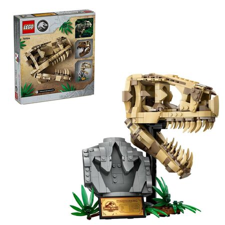 Dinosauří fosilie: Lebka T-rexe 76964