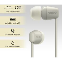 Sony WIC100C.CE7 grey